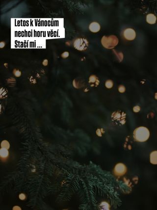 Letos toho moc nechci, a tak mi nejde ani prodávání toho, co sama nabízím. 👀 Pak mi ale dojde, že pro tebe nemám další...